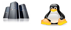 Linux Hosting
